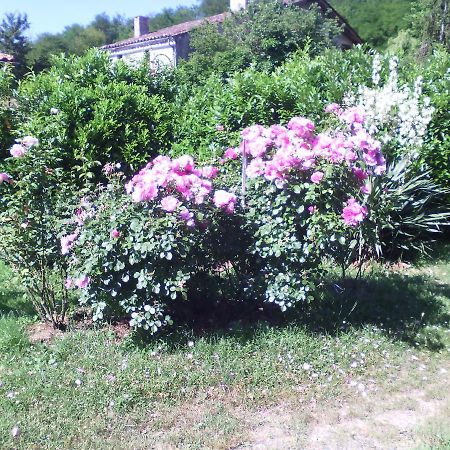 L'Ancien Patronage Guest House Caumont-sur-Garonne Exterior photo